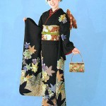 https://dolio.ru/wp-content/uploads/2012/04/kimono31-150x150.jpg
