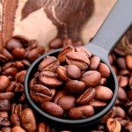 https://dolio.ru/wp-content/uploads/2012/12/certified-organic-coffee-150x150.jpg