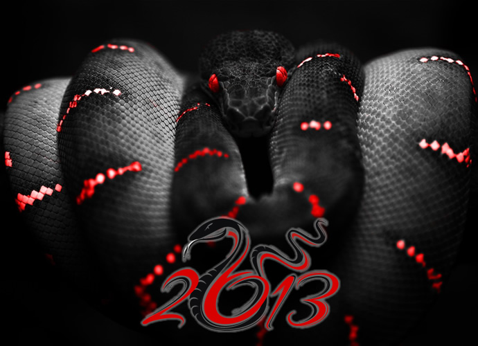 upcoming_2013th_year_black_water_snakes