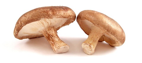 gribu shiitake