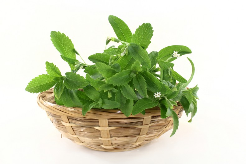 stevia-zamenitel saxara