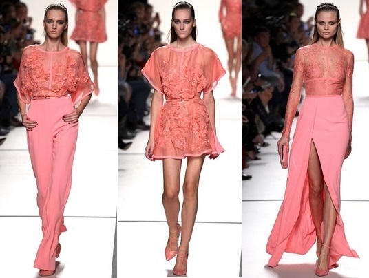 Elie Saab 2014 rozovuy