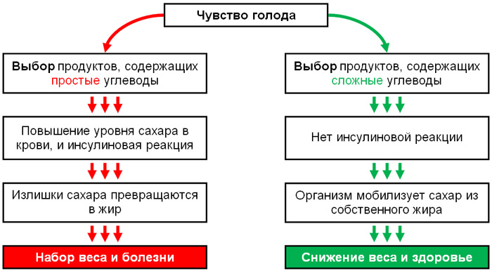 kak peretravlivaytsya uglevodu v organizme