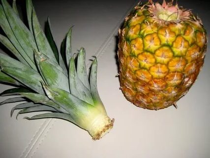 srezannaia verhushka ananasa